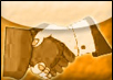 Public Relation Management