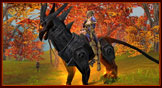 Experience in Public Relations, 
                        Community Management, Marketing ,Gaming
